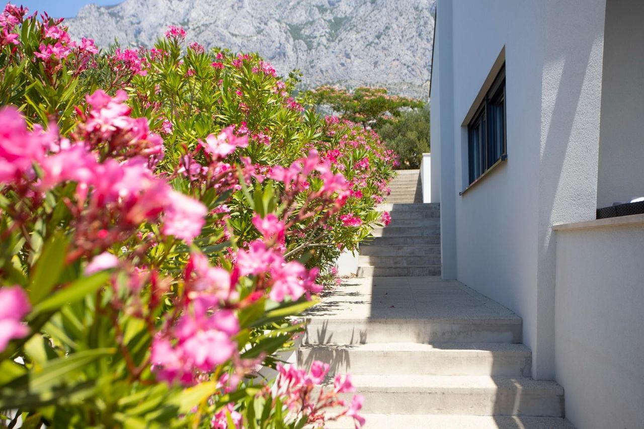 Villa Oaza Makarska